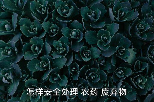 廢棄農(nóng)藥瓶能做什么用途,廢棄的可口可樂瓶可以做什么