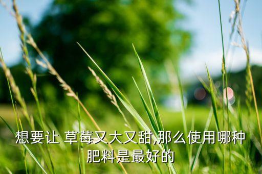 想要讓 草莓又大又甜,那么使用哪種肥料是最好的