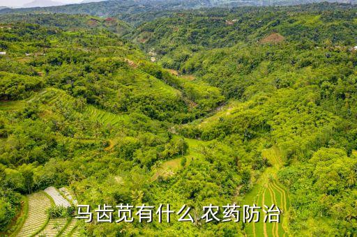 什么農藥打得死野花生苗