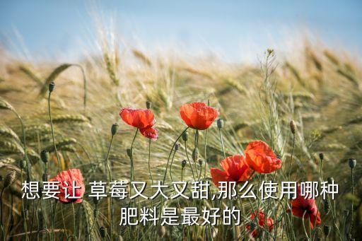 草莓加甜用什么農藥,草莓一點不甜是農藥打多了嗎