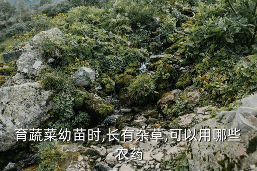 育蔬菜幼苗時(shí),長有雜草,可以用哪些 農(nóng)藥
