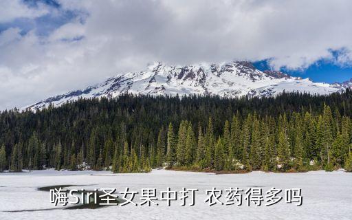 圣抓農藥是什么成分,玉米伴侶農藥成分是什么