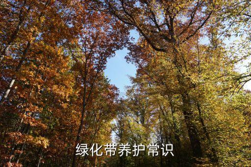 綠化帶養(yǎng)護(hù)常識(shí)