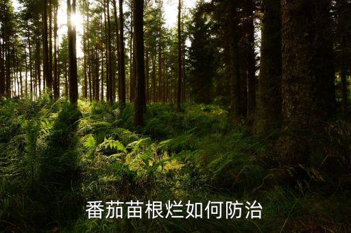 西紅柿死苗用什么農藥,馬蹄死苗用什么農藥