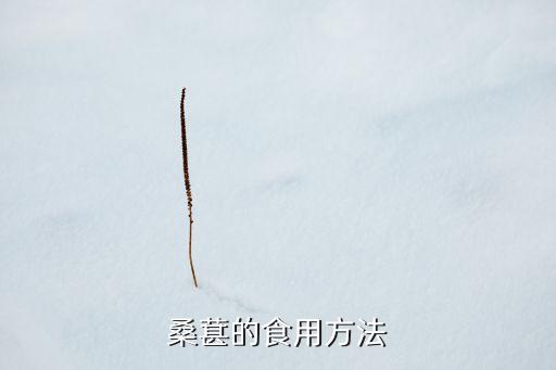 桑葚的食用方法