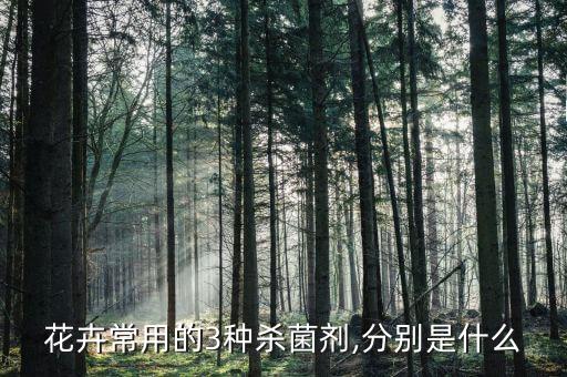 花卉常用的3種殺菌劑,分別是什么