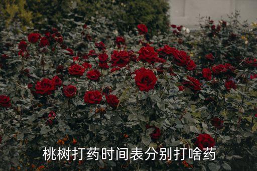  桃樹打藥時間表分別打啥藥