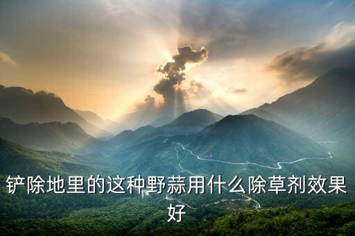 大蒜使用什么農藥,現在大蒜打什么農藥好