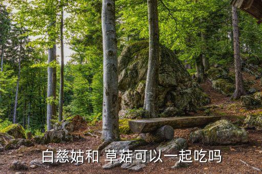 農(nóng)藥有叫什么草菇,草菇廣東叫什么