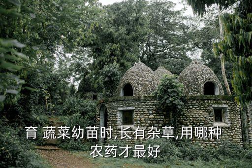 種蔬菜要用什么農藥,洗蔬菜用什么洗去農藥