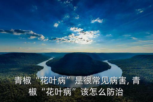  青椒“花葉病”是很常見病害, 青椒“花葉病”該怎么防治