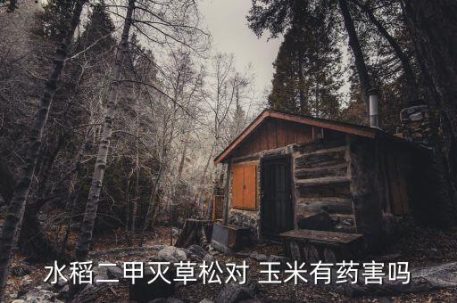什么農藥對玉米牙有害,玉米不能用什么農藥