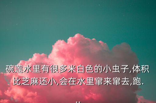 碗蓮水里有很多米白色的小蟲子,體積比芝麻還小,會在水里竄來竄去,跑...