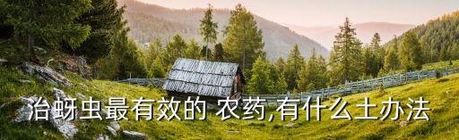 農藥治蟲用什么藥,農藥高效氯氰菊酯治什么蟲