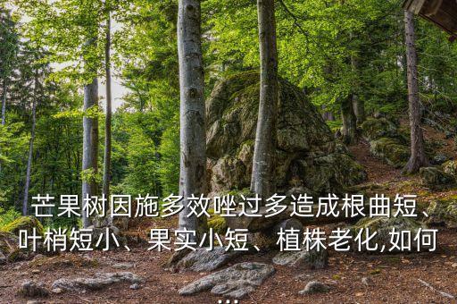 芒果不能用什么農藥灌根,芒果農藥什么時間打最好