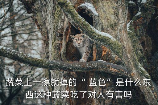 菜帶有藍色物是什么農(nóng)藥,往菜上噴的藍色液體是什么
