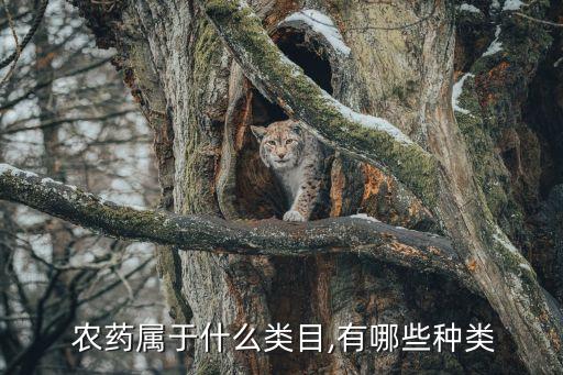  農藥屬于什么類目,有哪些種類