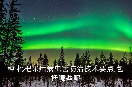 種 枇杷采后病蟲害防治技術要點,包括哪些呢