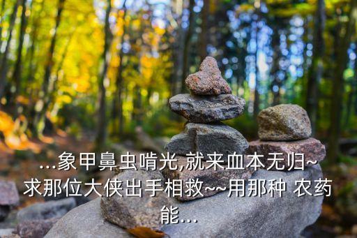 菜蟲用什么農藥殺比較好?,什么農藥可殺水象甲