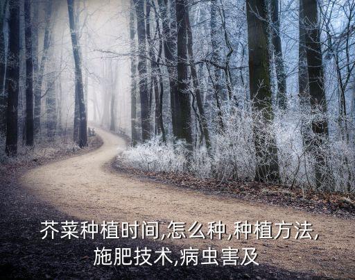  芥菜種植時(shí)間,怎么種,種植方法,施肥技術(shù),病蟲(chóng)害及