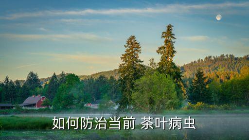 有什么農(nóng)藥能殺茶葉,菜蟲用什么農(nóng)藥殺比較好?