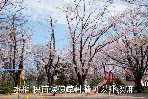 什么農藥能打死所有的草,秧苗用什么農藥打死