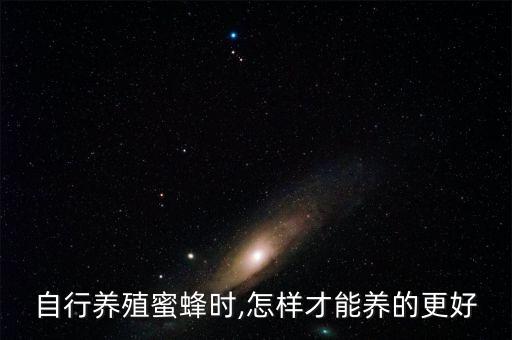 自行養殖蜜蜂時,怎樣才能養的更好