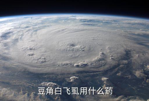 廣東豆角噴什么農藥殺蟲,長豆角用什么農藥最好
