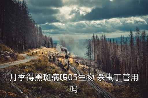 月季得黑斑病噴05生物 殺蟲丁管用嗎