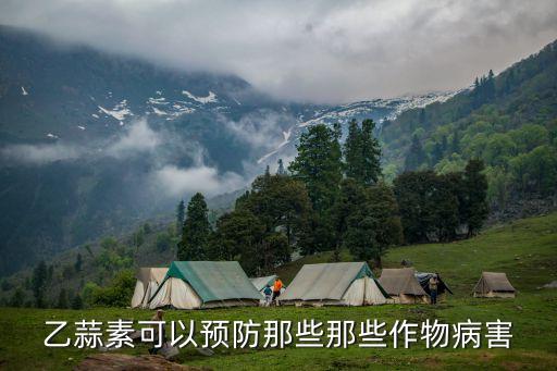 乙蒜素可以預防那些那些作物病害