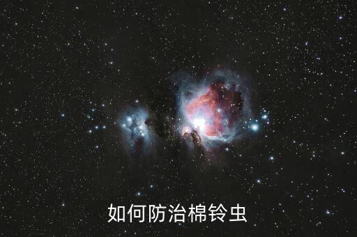 如何防治棉鈴蟲