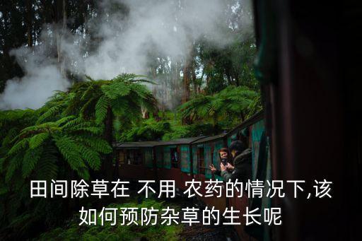 田間除草在 不用 農藥的情況下,該如何預防雜草的生長呢
