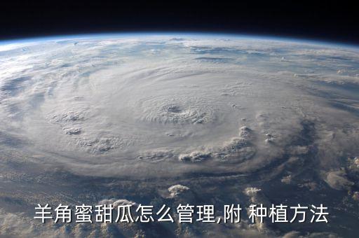 羊角蜜種植后用什么農藥,羊角密什么時間種植