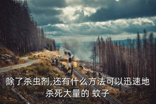 除了殺蟲劑,還有什么方法可以迅速地殺死大量的 蚊子