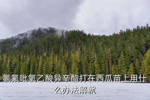 氯氟吡氧乙酸異辛酯打在西瓜苗上用什么辦法解就