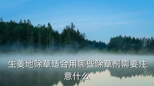  生姜地除草適合用哪些除草劑需要注意什么