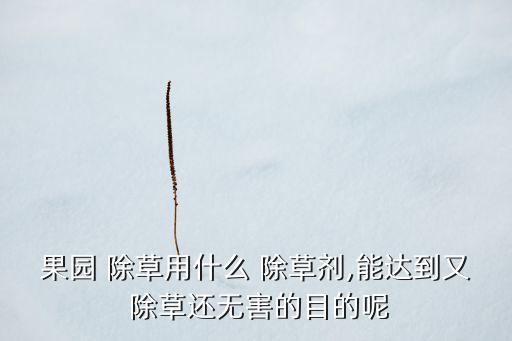 果園 除草用什么 除草劑,能達到又 除草還無害的目的呢
