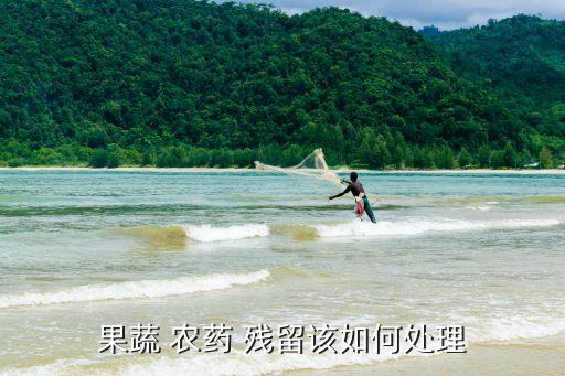 農藥殘留期施什么蔬菜,十大農藥殘留蔬菜