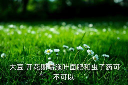  大豆 開花期噴施葉面肥和蟲子藥可不可以