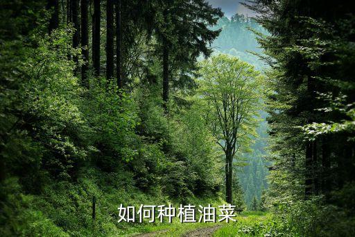 春天油菜籽噴什么農藥,油菜籽打什么農藥