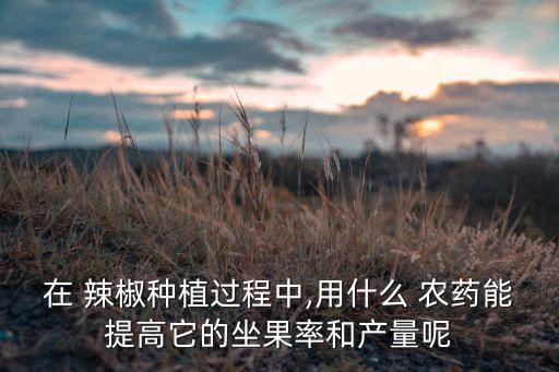 在 辣椒種植過程中,用什么 農(nóng)藥能提高它的坐果率和產(chǎn)量呢