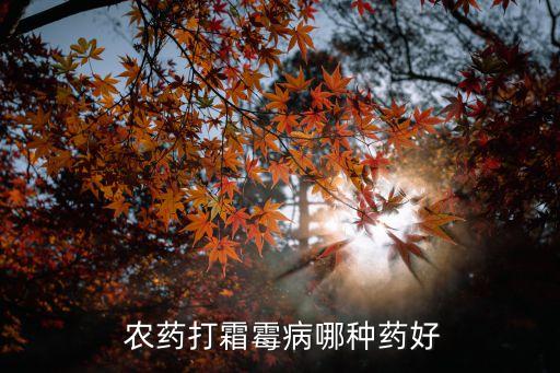  農(nóng)藥打霜霉病哪種藥好