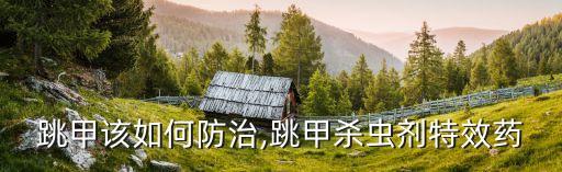 青菜跳甲用什么農藥好,什么農藥專治跳甲