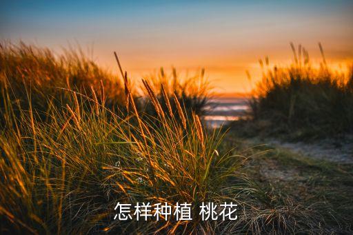 桃花盛開(kāi)該噴什么農(nóng)藥,桃花完全盛開(kāi)像什么