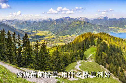  西瓜苗前除草,用什么除草劑好
