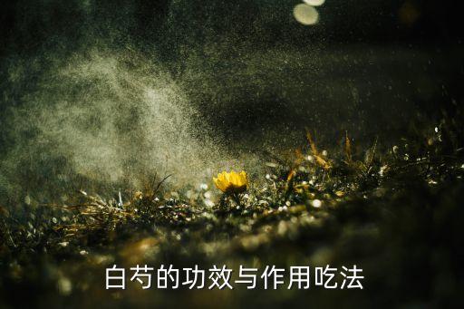  白芍的功效與作用吃法