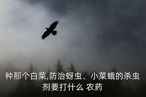 大慶有蛾用什么農(nóng)藥,小葉蛾打什么農(nóng)藥