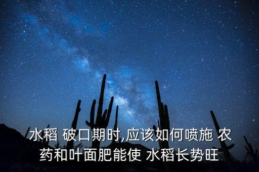  水稻 破口期時(shí),應(yīng)該如何噴施 農(nóng)藥和葉面肥能使 水稻長勢旺