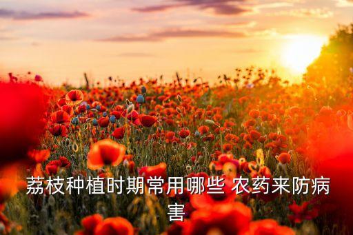 荔枝保花什么農(nóng)藥最好,荔枝用什么農(nóng)藥殺稍