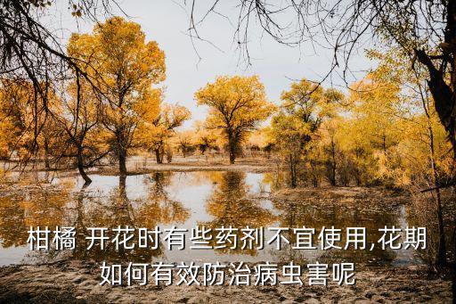 柑橘 開花時有些藥劑不宜使用,花期如何有效防治病蟲害呢